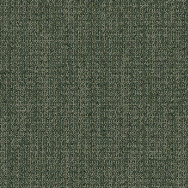 4306-008-000 Forest